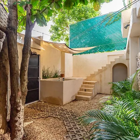 Casa Jicama-2